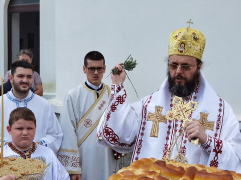 IMG_20230525_110803_resize