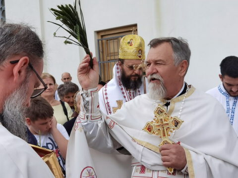 IMG_20230525_111459_resize