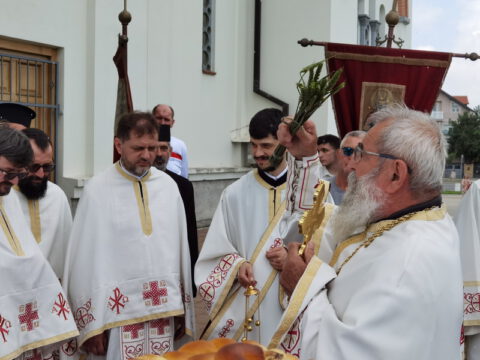 IMG_20230525_112332_resize