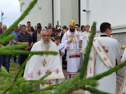 IMG_20230525_112422_resize