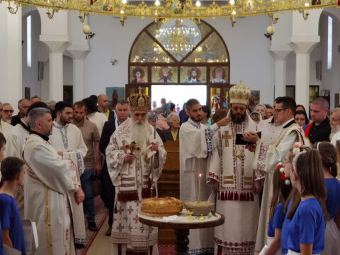 IMG_20230525_113042_resize