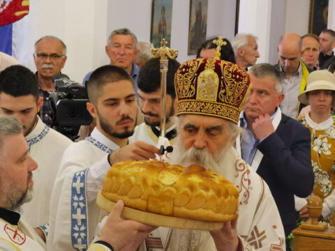 IMG_20230525_113239_resize