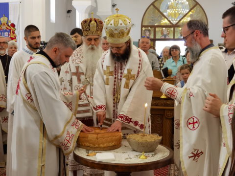 IMG_20230525_113301_resize