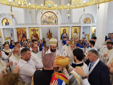 IMG_20230525_113353_resize