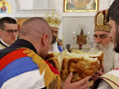 IMG_20230525_113522_resize