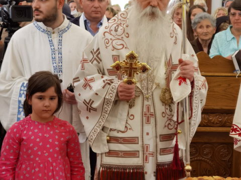 IMG_20230525_113845_resize