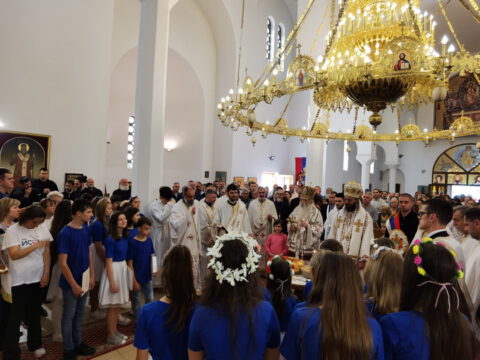 IMG_20230525_113902_resize