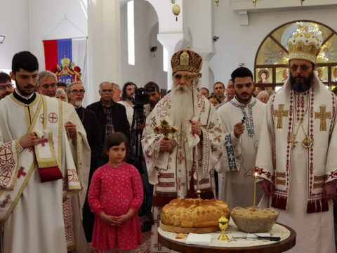 IMG_20230525_113934_resize