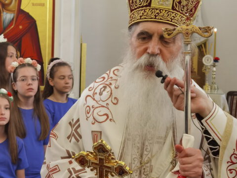 IMG_20230525_114115_resize