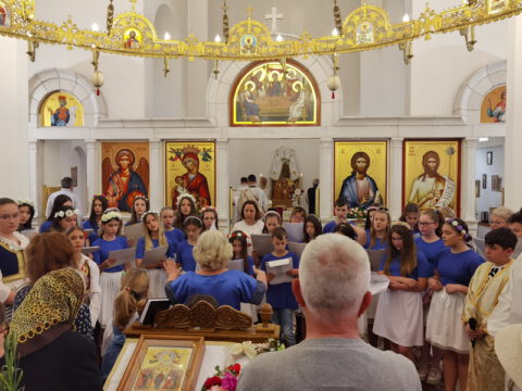 IMG_20230525_114453_resize