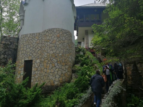 IMG_20230527_131302_resize