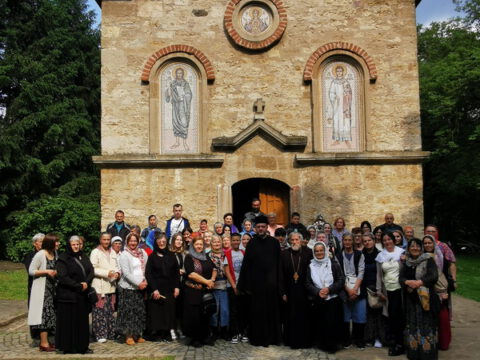 IMG_20230527_154038_resize