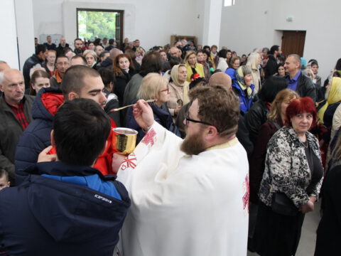 IMG_9244_resize_resize