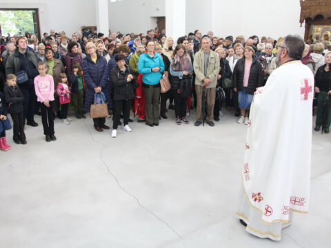 IMG_9249_resize_resize