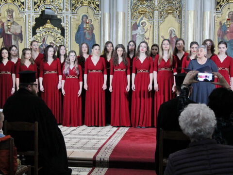 IMG_9297_resize_resize