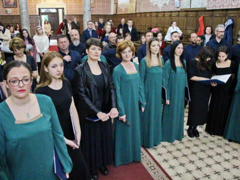 IMG_9350_resize_resize