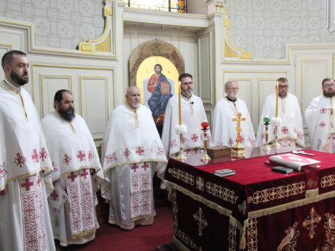 IMG_9437_resize_resize