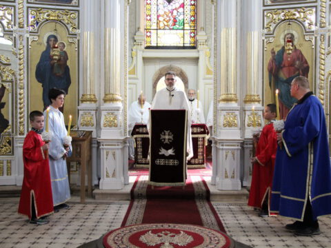 IMG_9442_resize_resize