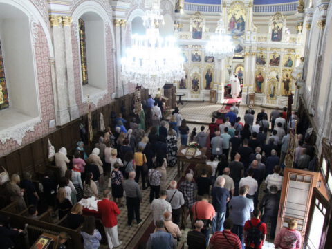 IMG_9467_resize_resize