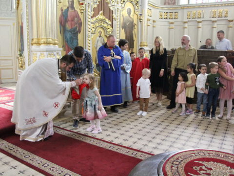 IMG_9491_resize_resize