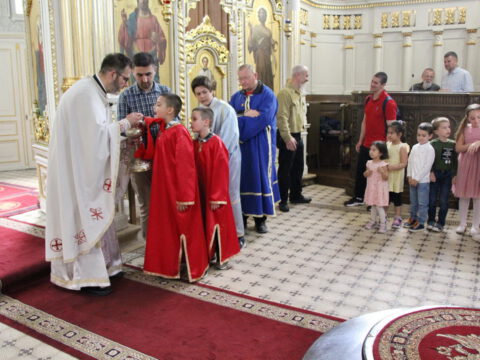 IMG_9492_resize_resize