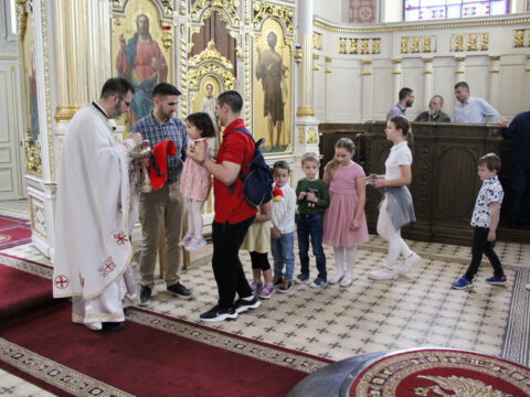 IMG_9493_resize_resize