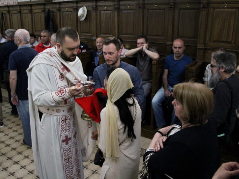 IMG_9501_resize_resize