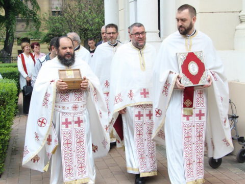 IMG_9520_resize_resize