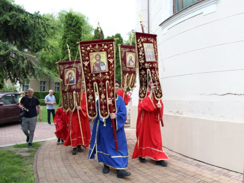 IMG_9527_resize_resize