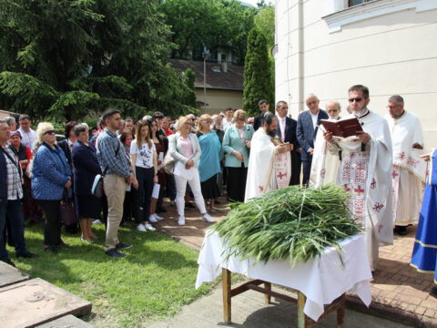 IMG_9548_resize_resize