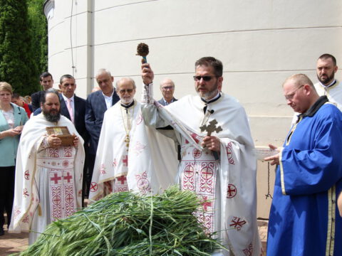 IMG_9553_resize_resize