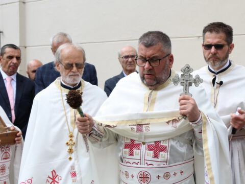 IMG_9559_resize_resize