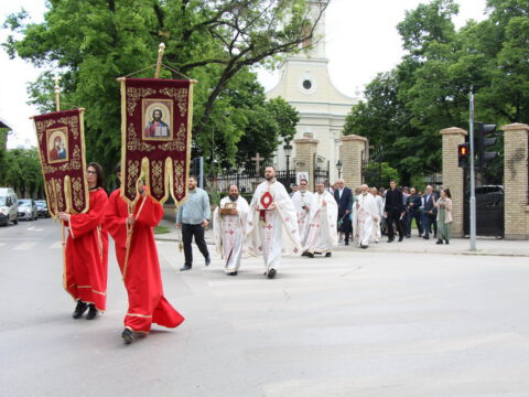 IMG_9579_resize_resize