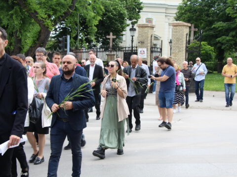 IMG_9584_resize_resize