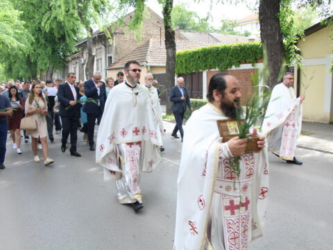 IMG_9594_resize_resize