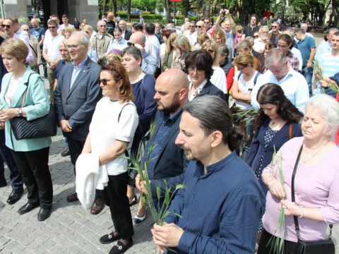 IMG_9644_resize_resize