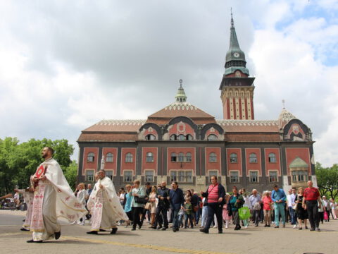 IMG_9668_resize_resize