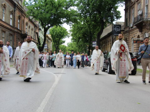 IMG_9705_resize_resize