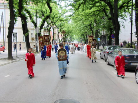 IMG_9710_resize_resize