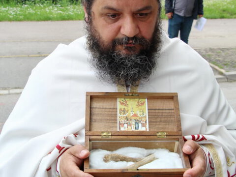 IMG_9728_resize_resize