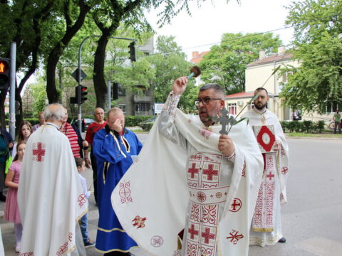 IMG_9746_resize_resize