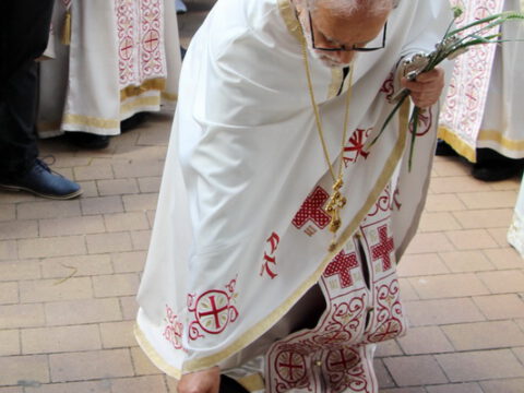 IMG_9777_resize_resize