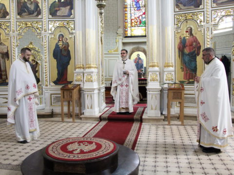 IMG_9786_resize_resize