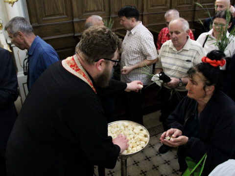 IMG_9790_resize_resize