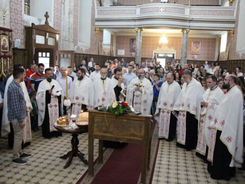 IMG_9820_resize_resize