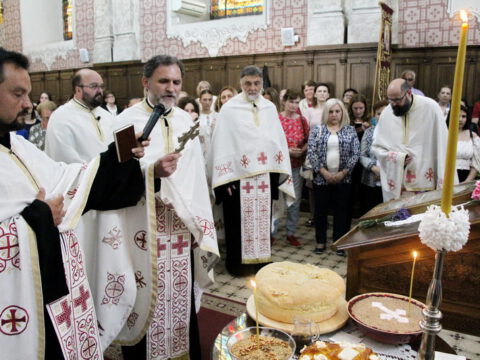 IMG_9826_resize_resize