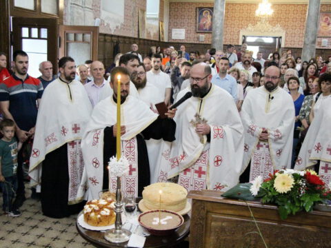 IMG_9827_resize_resize