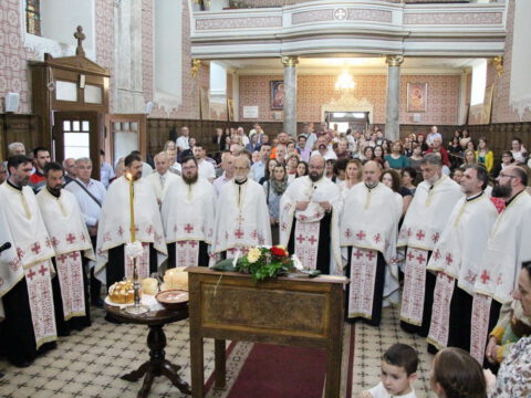 IMG_9851_resize_resize