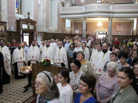 IMG_9858_resize_resize