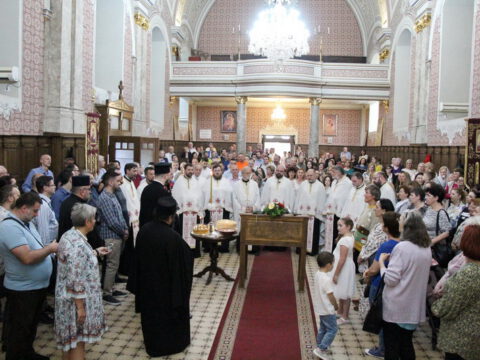 IMG_9873_resize_resize